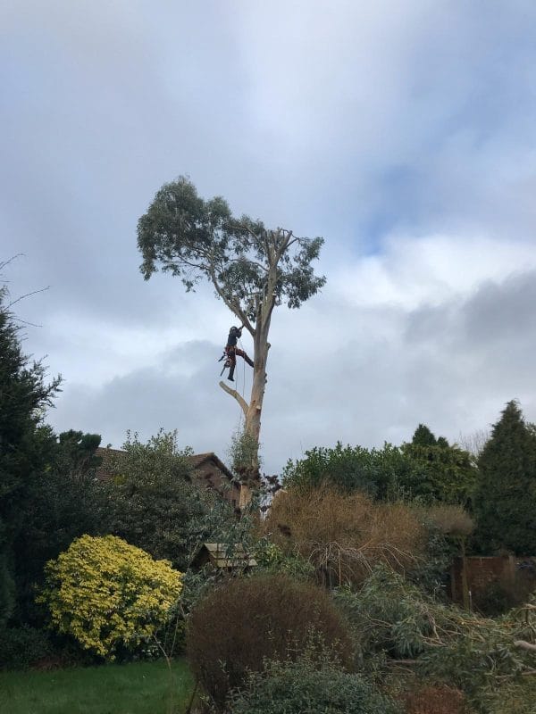 PHOTO-2024-11-25-13-36-56