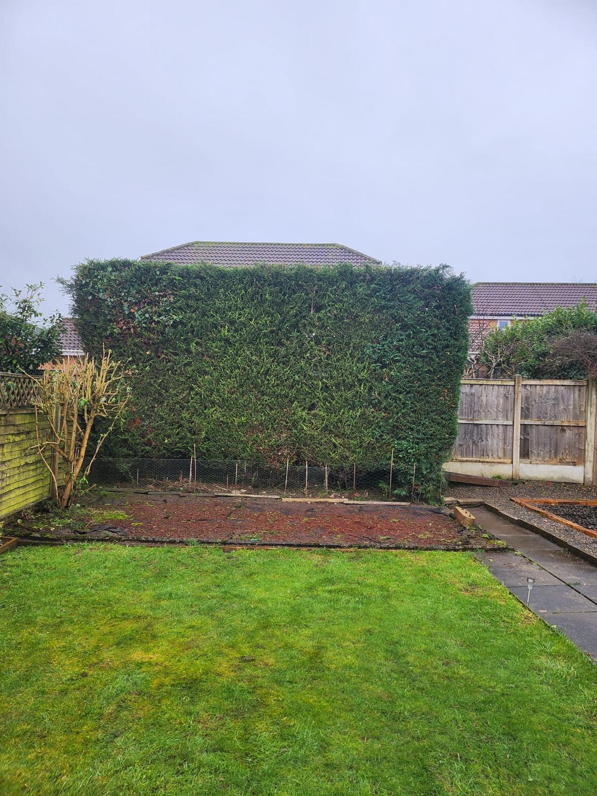 After hedge trimming